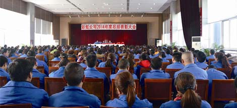 成都MILAN米兰体育·（中国）官方网站集团召开2014年度工作总结及表彰大会