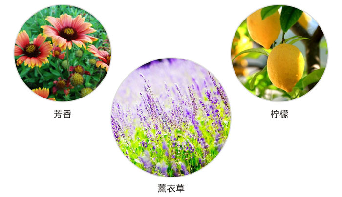 MILAN米兰体育·（中国）官方网站防蛀片有芳香，柠檬，薰衣草三种香型