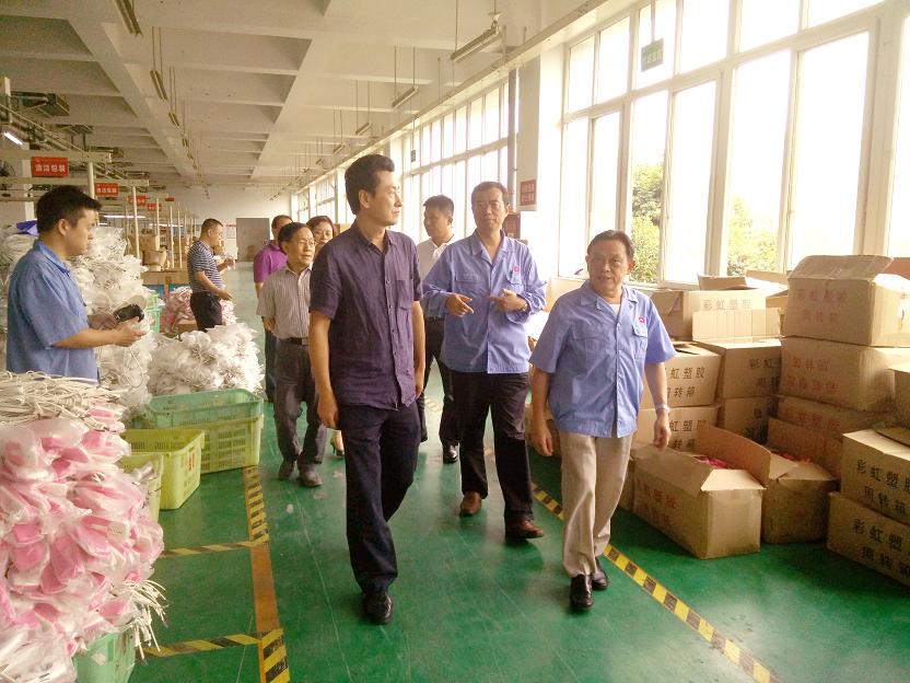 成都市安监局领导一行到成都MILAN米兰体育·（中国）官方网站集团进行安全检查