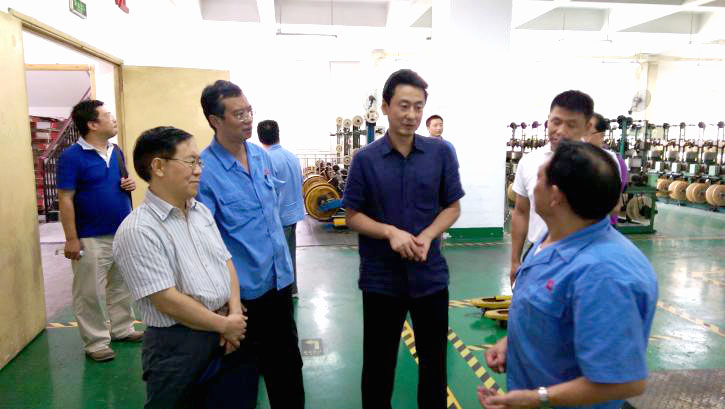 成都市安监局领导一行到成都MILAN米兰体育·（中国）官方网站集团进行安全检查