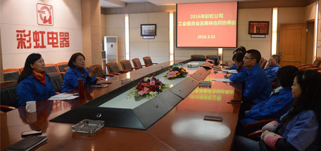 成都MILAN米兰体育·（中国）官方网站集团2016年员工方代表集体合同协商会