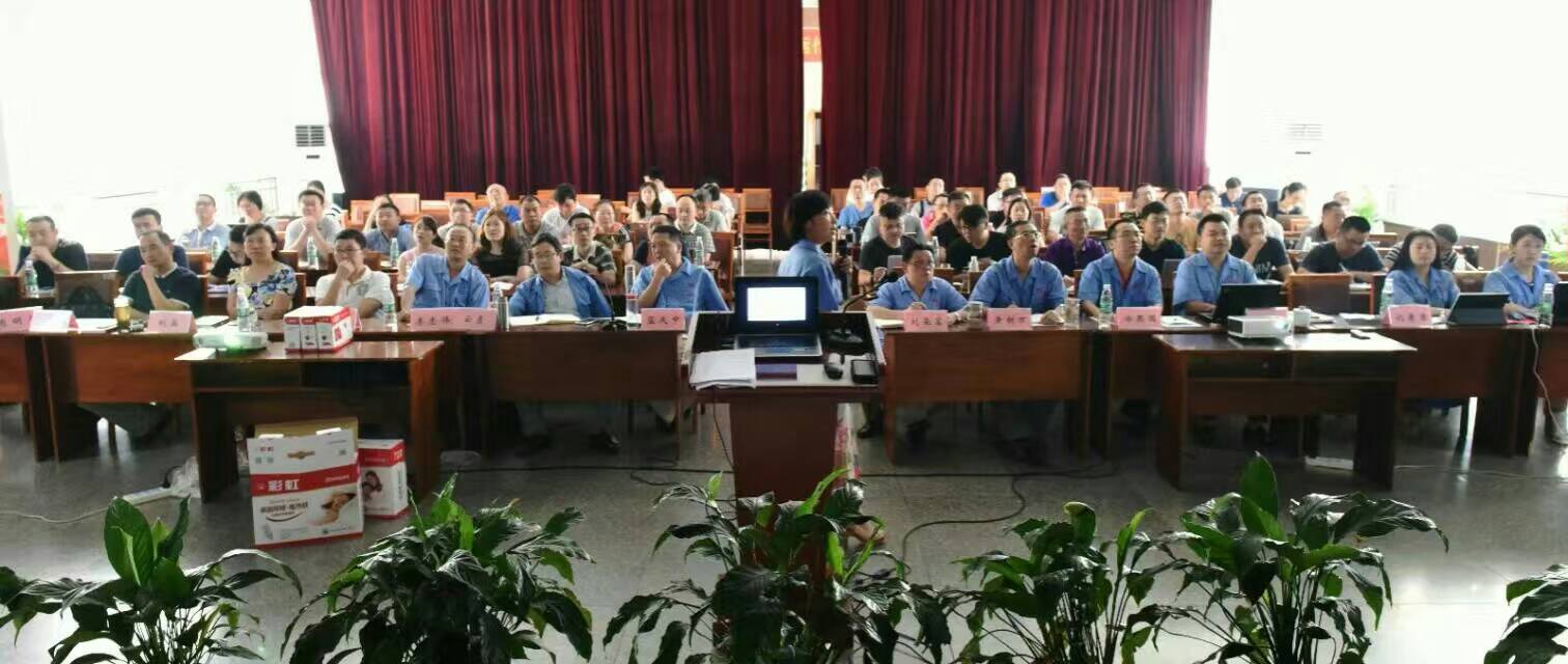 MILAN米兰体育·（中国）官方网站集团营销中心16年汇报会