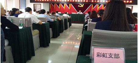 成都MILAN米兰体育·（中国）官方网站集团日化党支部学习成都市第十三次党代会精神