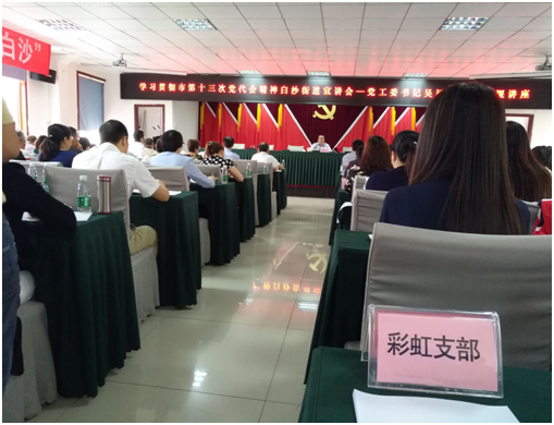 成都MILAN米兰体育·（中国）官方网站集团日化党支部学习成都市第十三次党代会精神