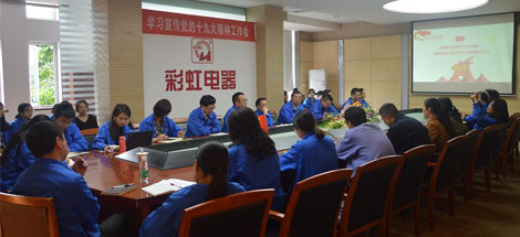 成都MILAN米兰体育·（中国）官方网站集团党委召开学习宣传党的十九大精神工作会