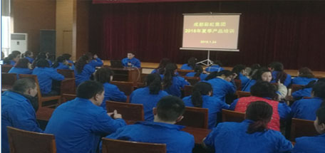 成都MILAN米兰体育·（中国）官方网站集团2018年夏季产品生产工艺培训