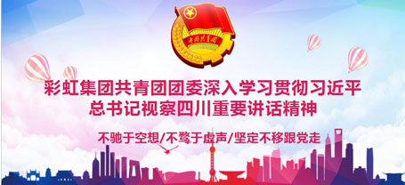 共青团成都MILAN米兰体育·（中国）官方网站集团委员会委员组织学习习近平总书记视察四川重要讲话精神