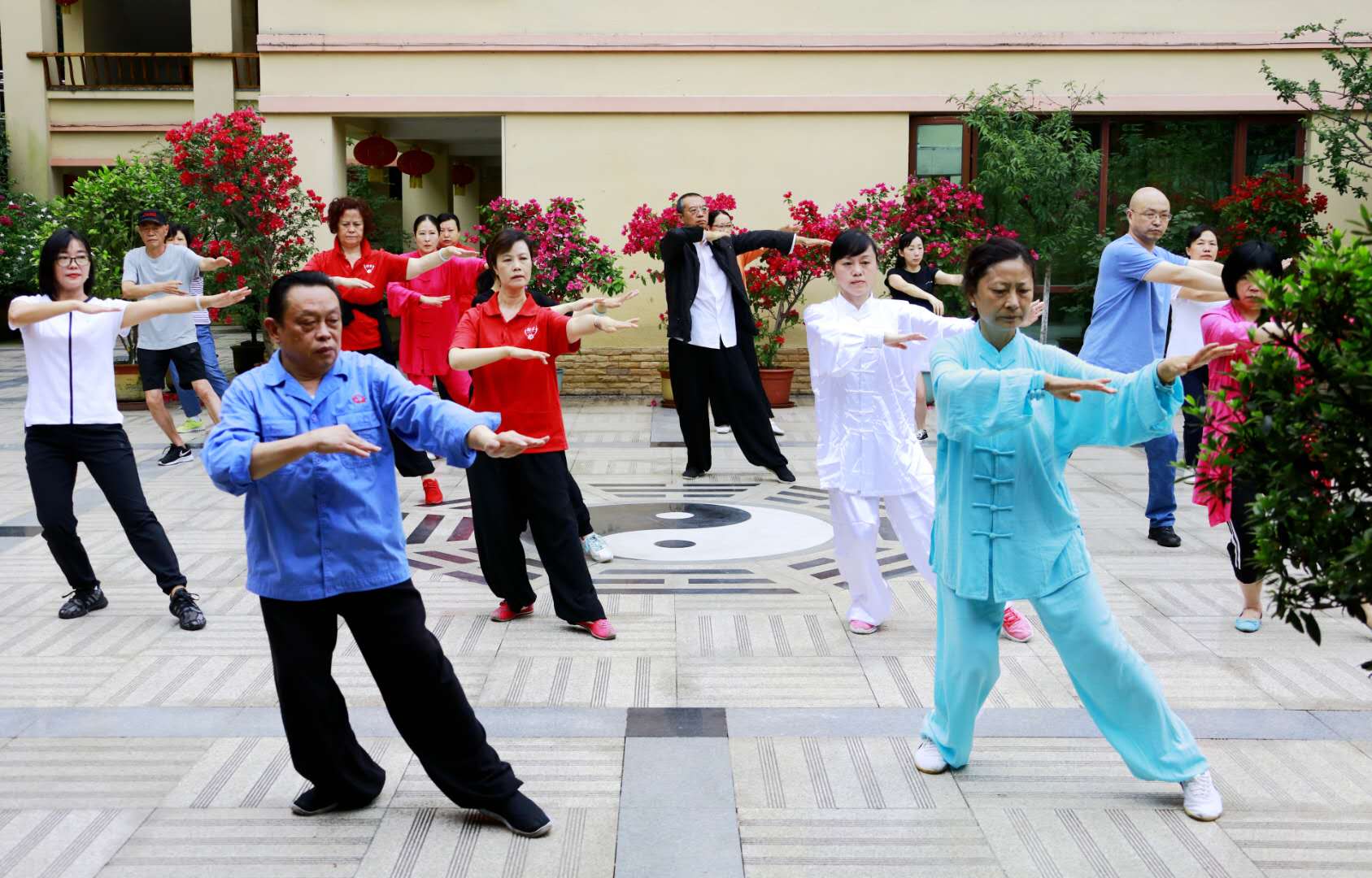 成都MILAN米兰体育·（中国）官方网站集团太极拳协会活动