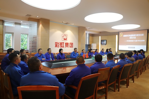 成都MILAN米兰体育·（中国）官方网站集团行政党支部召开党员大会 传达学习党的十九届六中全会精神